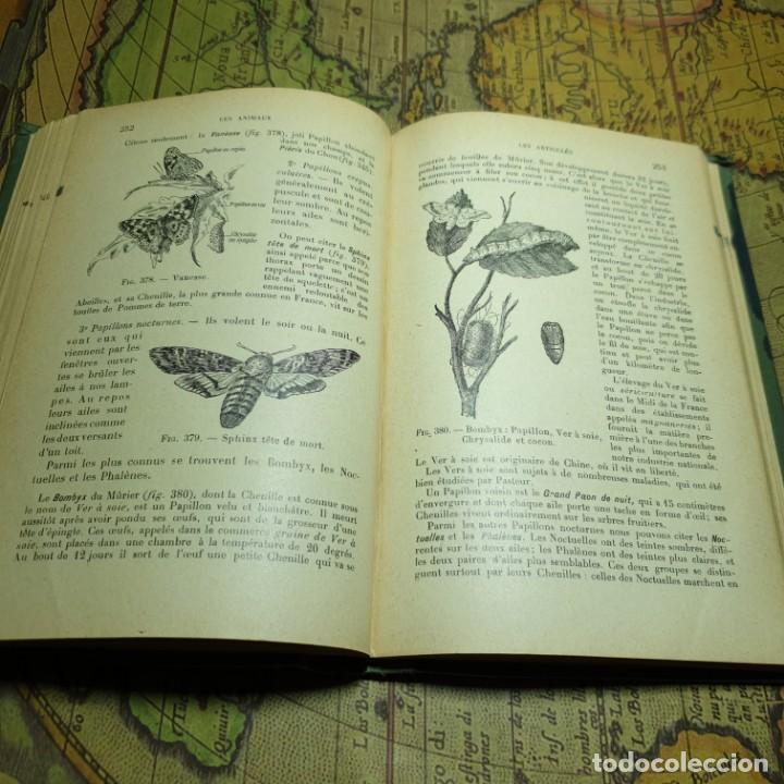 Libros antiguos: ZOOLOGIE. E. CAUSTIER. VUIBERT PARIS 1914. EN FRANC&Eacute;S. - Foto 8