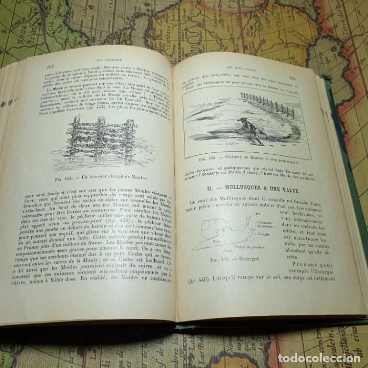 Libros antiguos: ZOOLOGIE. E. CAUSTIER. VUIBERT PARIS 1914. EN FRANC&Eacute;S. - Foto 10