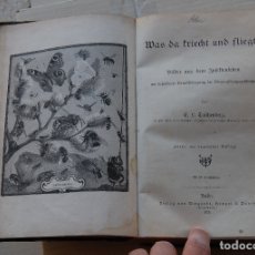 Libros antiguos: LIBRO ALEMÁN DE INSECTOS BIOLOGÍA WAS DA KRIECHT UND FLIEGT E. L. TAFCHENBERG 1878 BONITOS GRABADOS. Lote 164848482