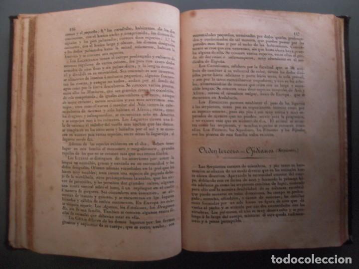 Libros antiguos: Elementos de Historia natural 1843 - jos&eacute; Gerber de Robles - Foto 6