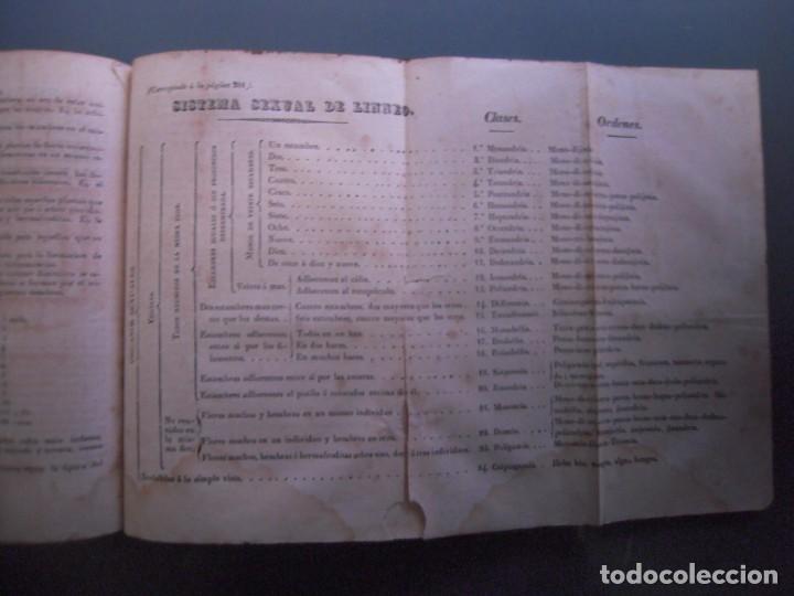 Libros antiguos: Elementos de Historia natural 1843 - jos&eacute; Gerber de Robles - Foto 7