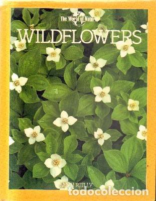 Libros antiguos: WILDFLOWERS. A-IDIO-295. - Foto 1
