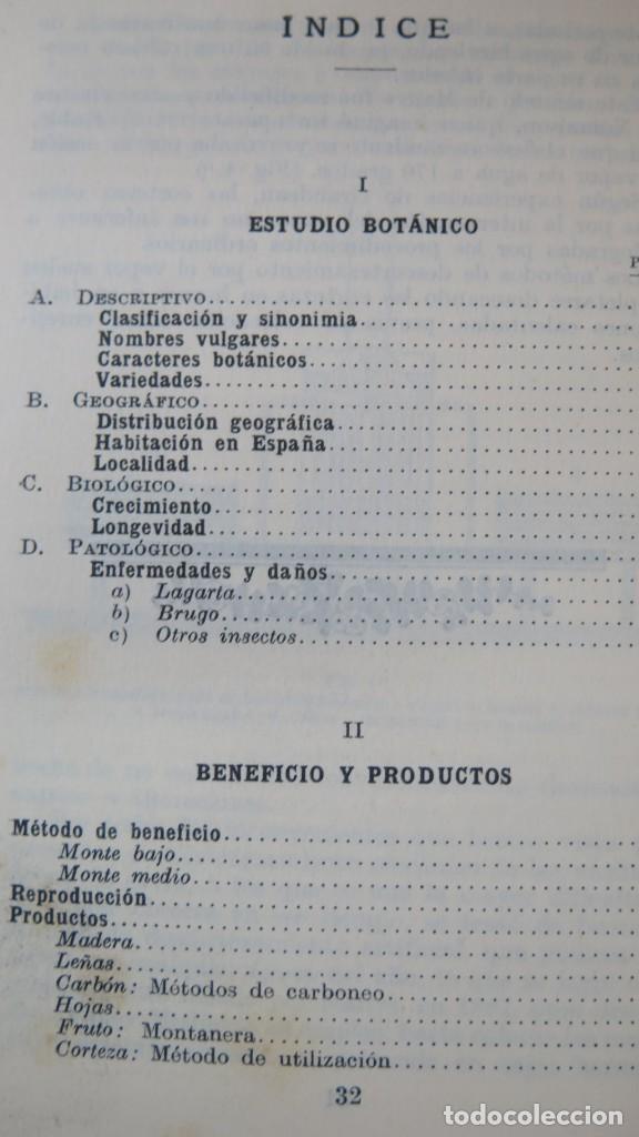 Libros antiguos: LA ENCINA Y SU EXPLOTACI&Oacute;N - Foto 2