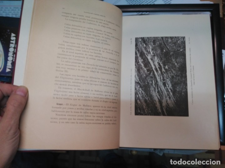 Libros antiguos: EL TRIASICO DE MALLORCA - Darder Peric&aacute;s, Bartolom&eacute; - Foto 2