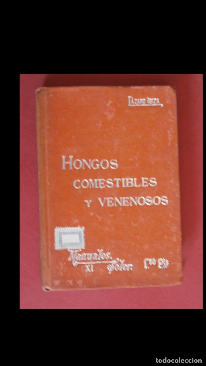 Libros antiguos: Hongos comestibles y venenosos . Blas L&aacute;zaro &eacute; Ibiza - Foto 1