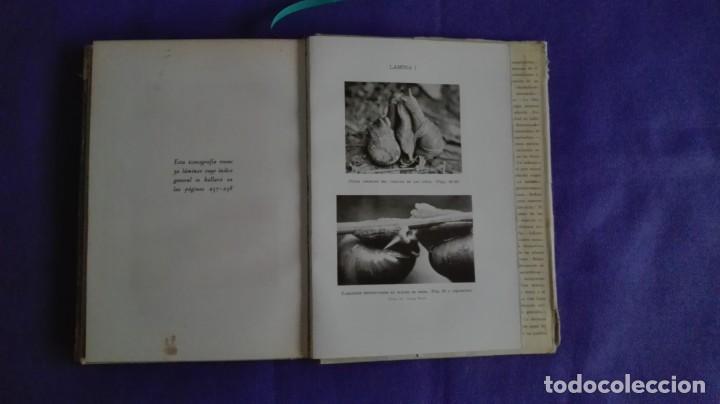 Libros antiguos: La sexualidad en el universo - Foto 5