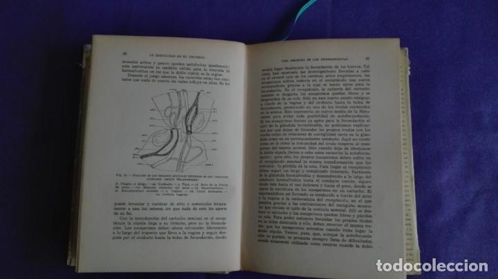 Libros antiguos: La sexualidad en el universo - Foto 6