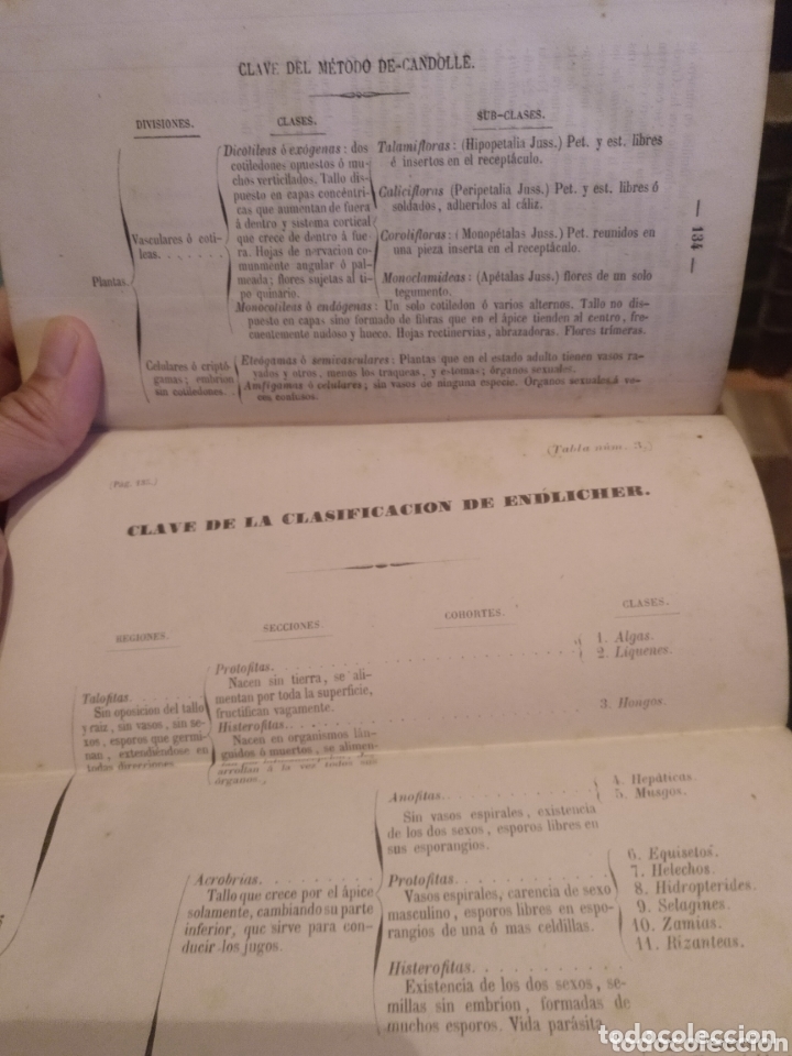 Libros antiguos: 1859. Bot&aacute;nica general - Foto 2