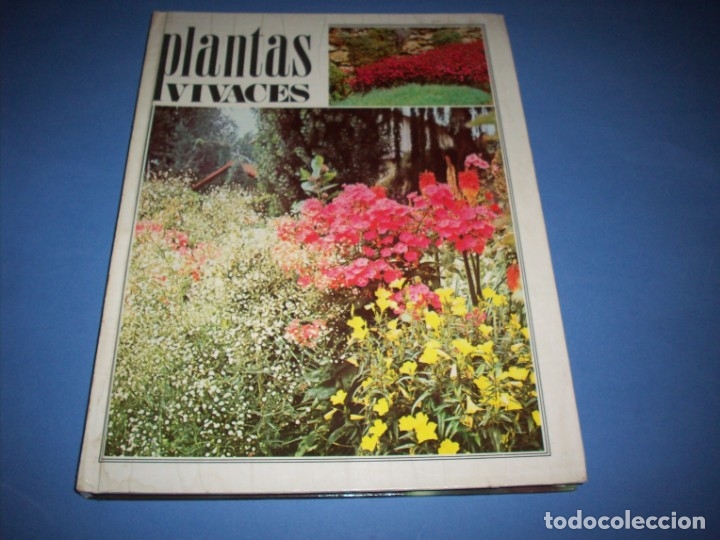Libros antiguos: plantas vivaces - Foto 1