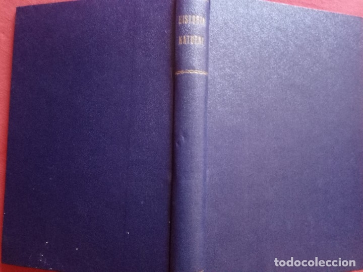 Libros antiguos: HISTORIA NATURAL- E. RIVERA 12&ordf; EDICI&Oacute;N 1914. - Foto 2