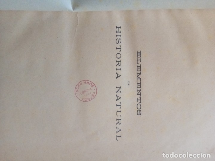 Libros antiguos: HISTORIA NATURAL- E. RIVERA 12&ordf; EDICI&Oacute;N 1914. - Foto 3