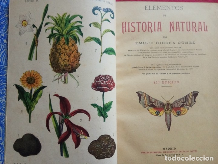 Libros antiguos: HISTORIA NATURAL- E. RIVERA 12&ordf; EDICI&Oacute;N 1914. - Foto 4