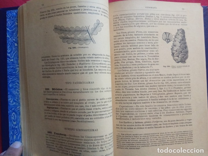 Libros antiguos: HISTORIA NATURAL- E. RIVERA 12&ordf; EDICI&Oacute;N 1914. - Foto 5