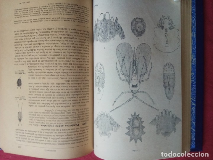 Libros antiguos: HISTORIA NATURAL- E. RIVERA 12&ordf; EDICI&Oacute;N 1914. - Foto 6