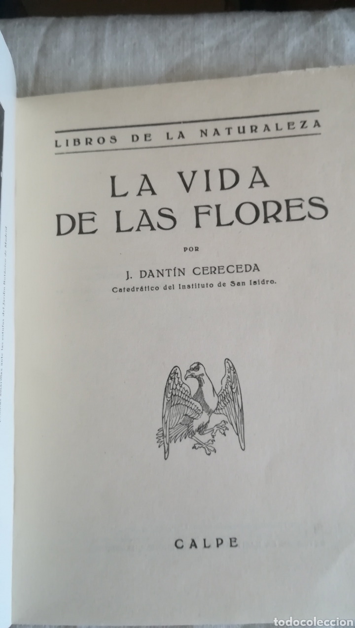 Libros antiguos: La vida de las flores, libro de 1922 - Foto 2