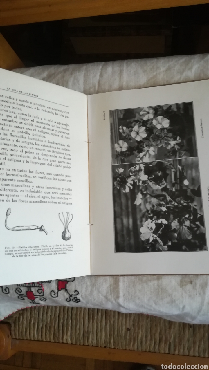 Libros antiguos: La vida de las flores, libro de 1922 - Foto 4