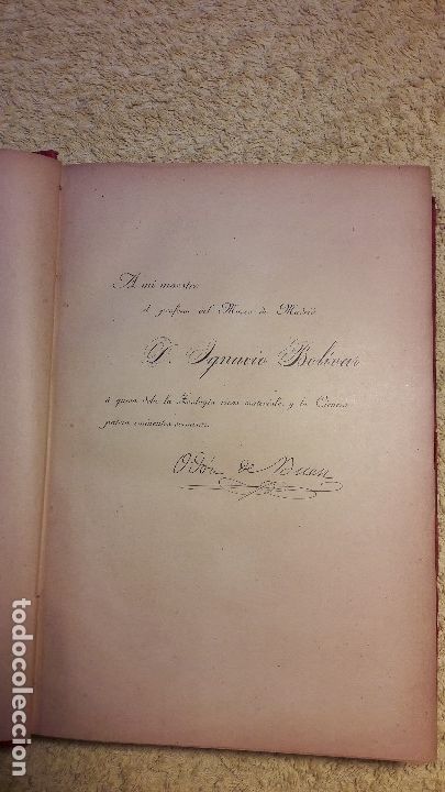 Libros antiguos: Zoolog&iacute;a    de Od&oacute;n de Buen       a&ntilde;o 1895 - Foto 3