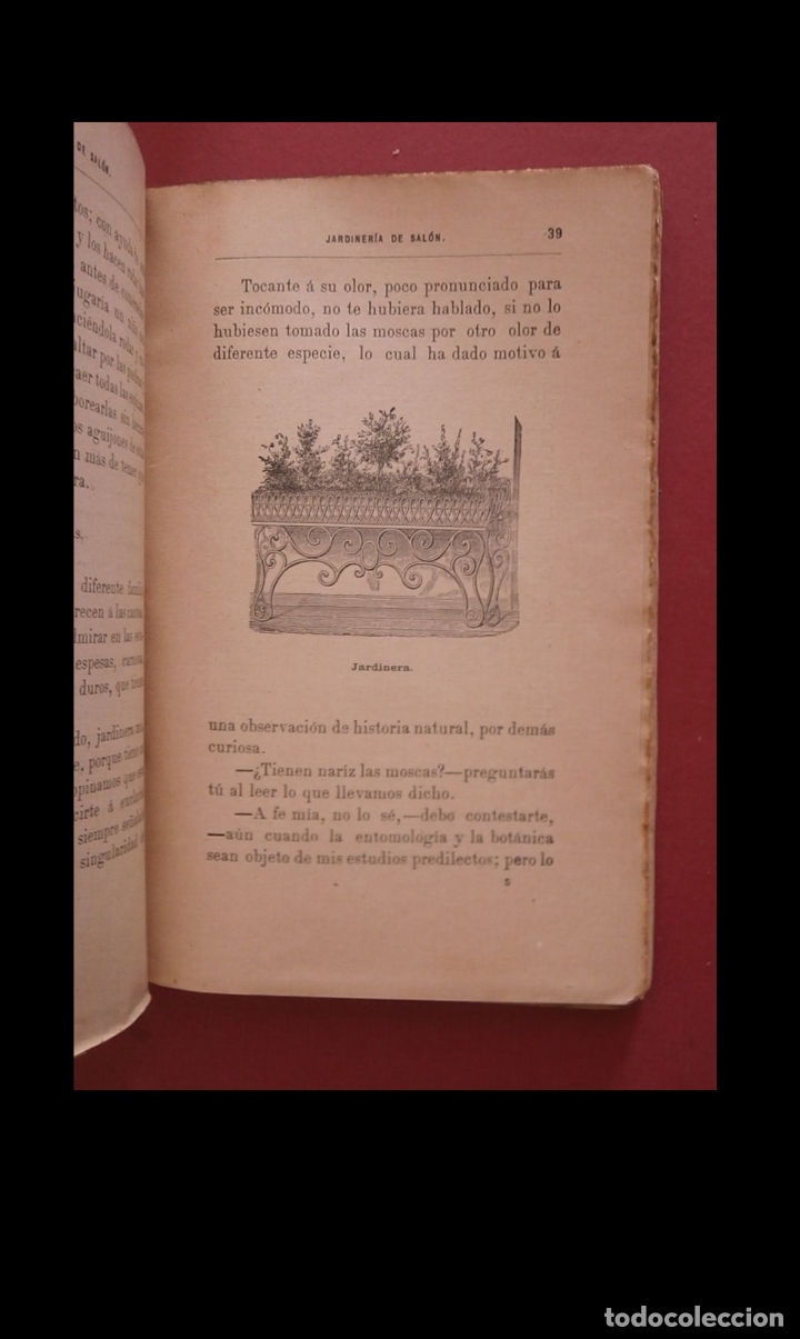 Libros antiguos: Manual pr&aacute;ctico de jardineria de sal&oacute;n, balcones y ventanas. - Foto 2