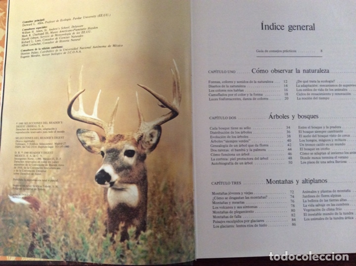 Libros antiguos: Al encuentro de la naturaleza - Foto 1
