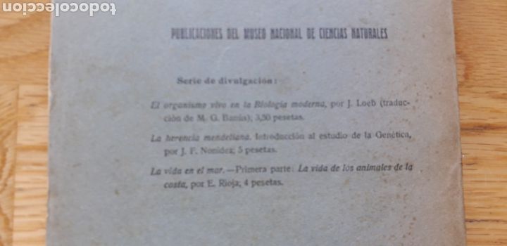 Libros antiguos: LA VIDA EN EL MAR , ENRRIQUE RIOJA , - Foto 2