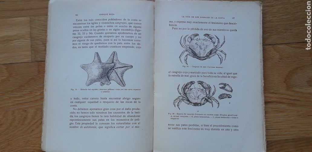 Libros antiguos: LA VIDA EN EL MAR , ENRRIQUE RIOJA , - Foto 5
