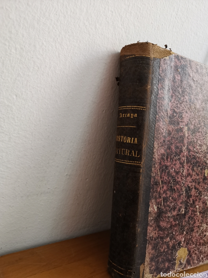 Libros antiguos: Libro Elementos de Historia Natural de 1887. Manuel D&iacute;az de Arcaya - Foto 2