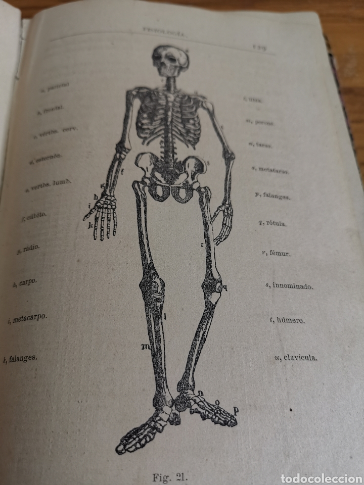 Libros antiguos: Libro Elementos de Historia Natural de 1887. Manuel D&iacute;az de Arcaya - Foto 4
