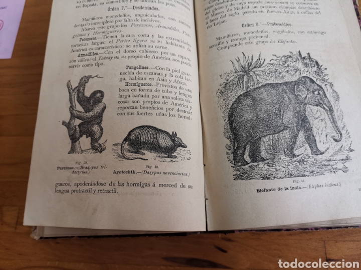 Libros antiguos: Libro Elementos de Historia Natural de 1887. Manuel D&iacute;az de Arcaya - Foto 5