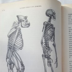 Libros antiguos: EL SER HUMANO. ESCRITA EN RUSO. SAN PETERSBURGO. 1903
