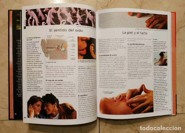 Libros antiguos: LAROUSSE DESCUBRE - EL CUERPO HUMANO - Foto 3