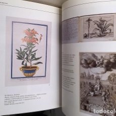 Libros antiguos: JARDINES DE PAPEL. (CIEN AÑOS DE BOTÁNICA. TRATADOS. FARMACIA. LOS RIVAS (MARCELO RIVAS MATEO…) . Lote 183087136
