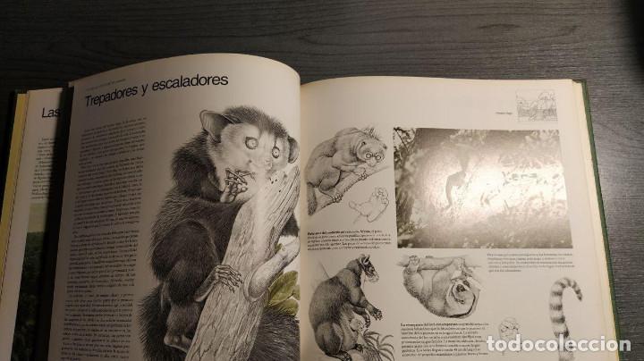 Libros antiguos: Selvas  Circulo de lectores - Foto 3