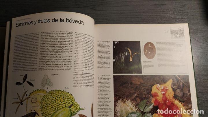 Libros antiguos: Selvas  Circulo de lectores - Foto 4