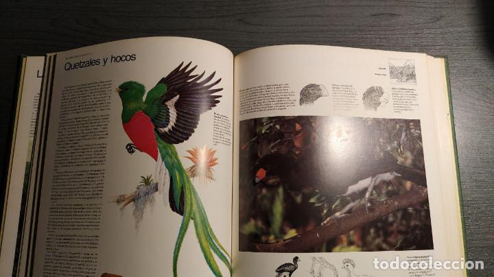 Libros antiguos: Selvas  Circulo de lectores - Foto 5