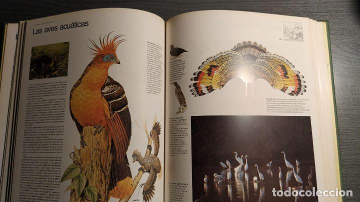 Libros antiguos: Selvas  Circulo de lectores - Foto 6