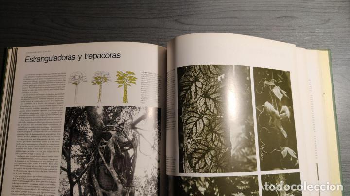 Libros antiguos: Selvas  Circulo de lectores - Foto 7