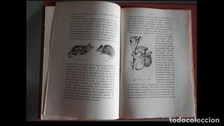 Libros antiguos: El origen del hombre. Guillermo Bolsche - Foto 2