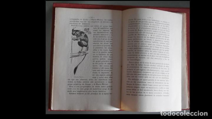 Libros antiguos: El origen del hombre. Guillermo Bolsche - Foto 3