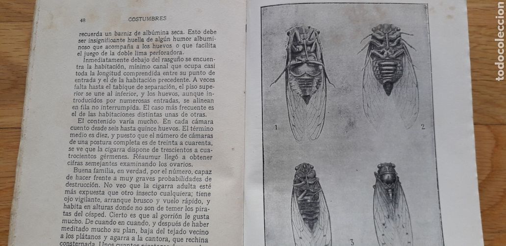 Libros antiguos: COSTUMBRES DE LOS INSECTOS, J.H.FABRE, - Foto 3