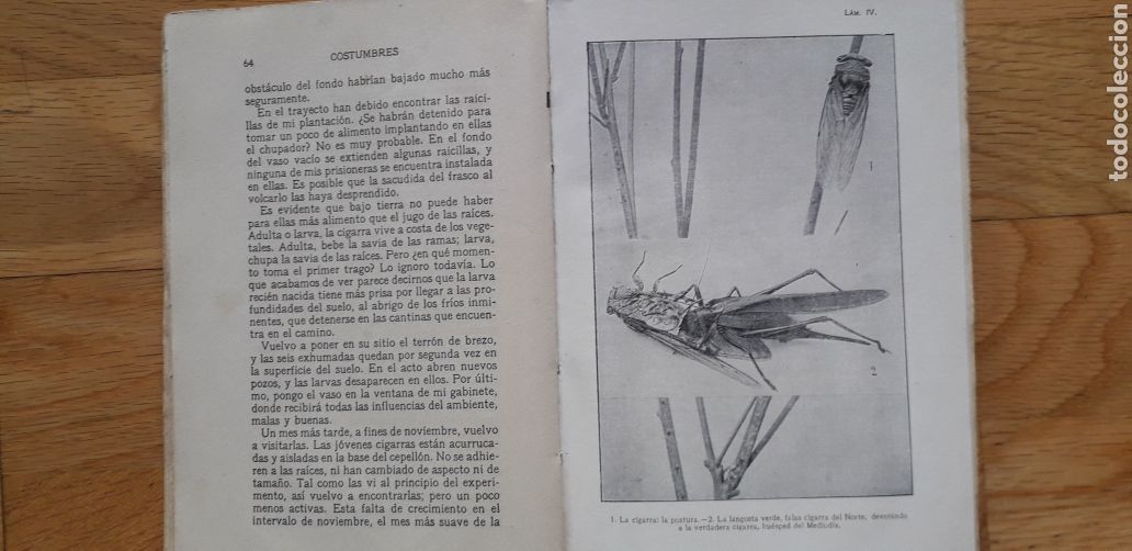 Libros antiguos: COSTUMBRES DE LOS INSECTOS, J.H.FABRE, - Foto 4