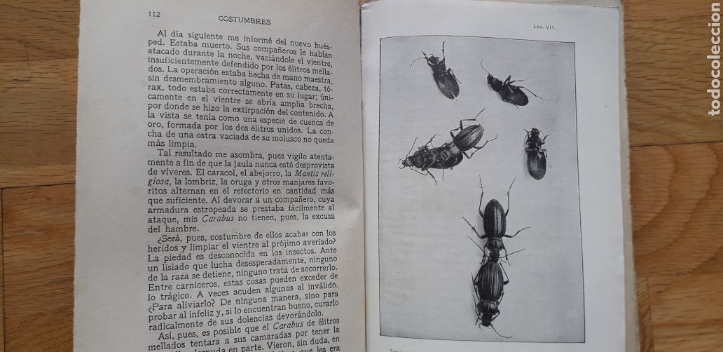 Libros antiguos: COSTUMBRES DE LOS INSECTOS, J.H.FABRE, - Foto 5