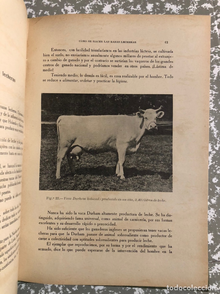 Libros antiguos: La vaca lechera , Santos Ar&aacute;n. Sevilla 1914 - Foto 3