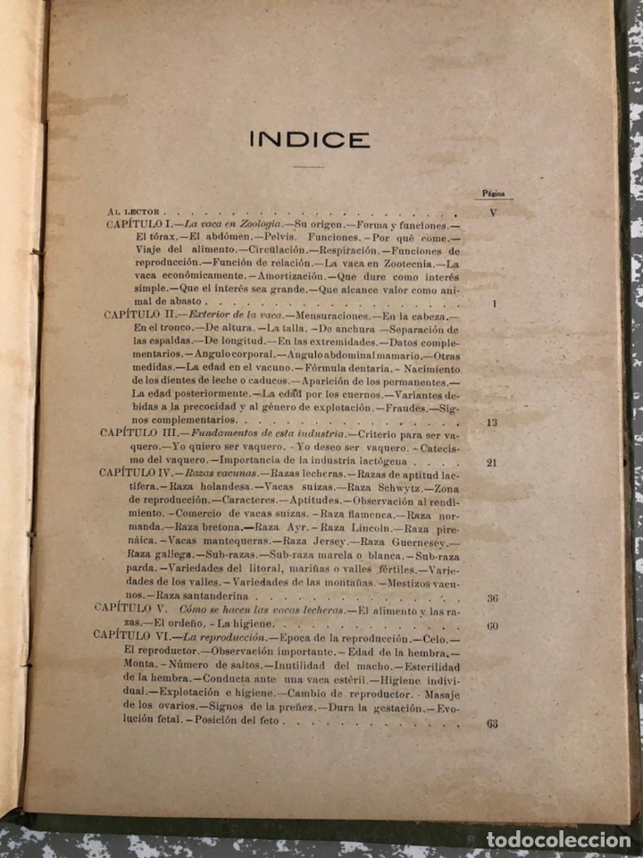 Libros antiguos: La vaca lechera , Santos Ar&aacute;n. Sevilla 1914 - Foto 6
