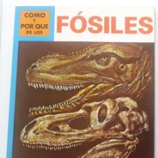 Livres anciens: COMO Y POR QUE DE LOS FOSILES. MOLINO 1981. 48 PAGINAS FORMATO 21 X 28 CM. Nº 67.. Lote 191476555