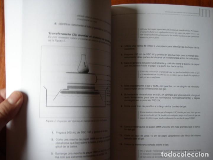 Libros antiguos: LIBRO BIOQUIMICA APLICADA SEPTEM EDICIONES NUEVO - Foto 4