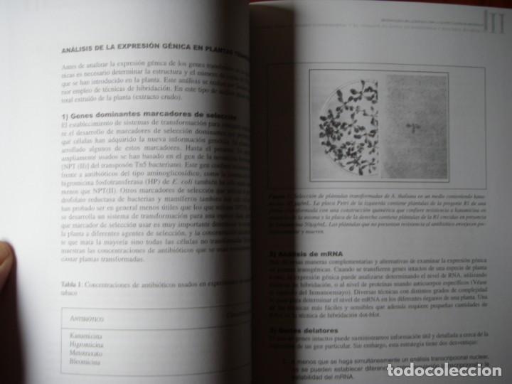 Libros antiguos: LIBRO BIOQUIMICA APLICADA SEPTEM EDICIONES NUEVO - Foto 6