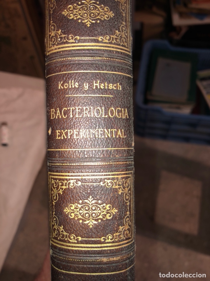 Libros antiguos: Libro bacteriolog&iacute;a experimental 1929 - Foto 2