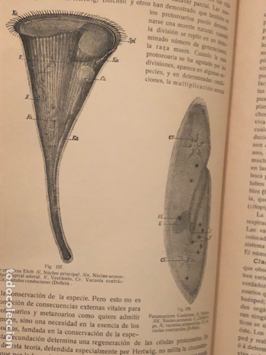 Libros antiguos: Libro bacteriolog&iacute;a experimental 1929 - Foto 7
