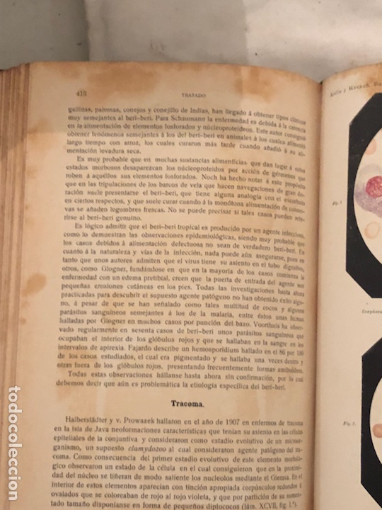 Libros antiguos: Libro bacteriolog&iacute;a experimental 1929 - Foto 10