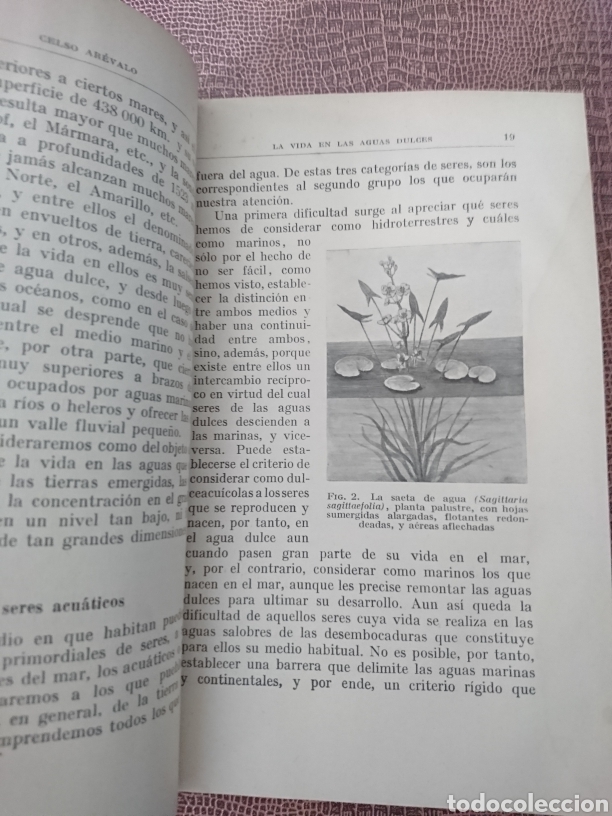 Libros antiguos: La vida en las Aguas dulces - Foto 3